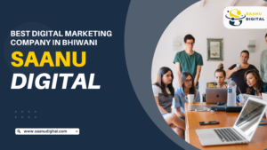 Saanu Digital Best Digital Marketing Company in Bhiwani